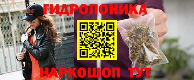 a pvp Кулебаки