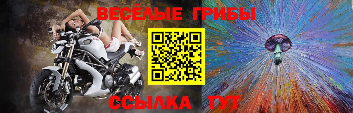 Галлюциногенные грибы Psilocybine cubensis  Псилоцибиновые грибы MAGIC MUSHROOMS  Карпинск  Вход с VPN 